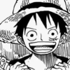 Luffy 24