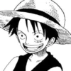 Luffy 25