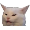 Gatitos 6