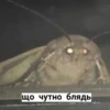 Random shit by 17