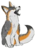 IndigoFox 26