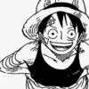 Luffy 28