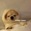 споке чьмо