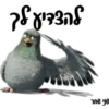 331 me je