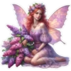 Fairy Girls 5
