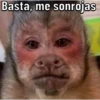 Changos 5