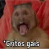 Changos 6