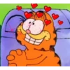 Garfield 6