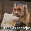 Changos 2 6