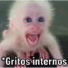 Changos 2 7