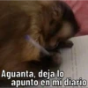 Changos 9