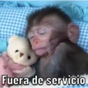 Changos 2 8