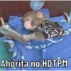 Changos 10