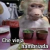Changos 2 9