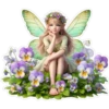 Fairy Girls 11