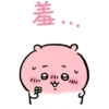 Chiikawa.q 6