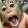 Changos 2 10