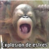 Changos 2 11