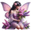 Fairy Girls 13