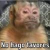 Changos 11