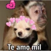 Changos 12