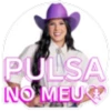 Coração do Brasil 7