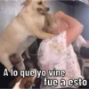 Caninos 9