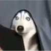 No se JAJAAJJA 10