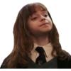 Harry Potter 10