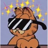 Garfield 14