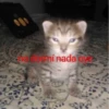 No se JAJAAJJA 11