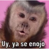 Changos 2 13