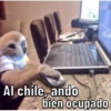 Changos 2 14