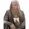 Harry Potter 11