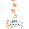 Chiikawa.q 12