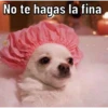 Caninos 11