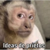 Changos 2 15