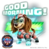 PAW Patrol The Mighty Movie 6