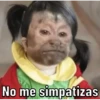 Changos 2 16