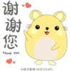 Mike Hamster 仓鼠麦麦 16