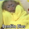 Changos 2 17