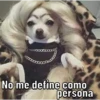 Caninos 18