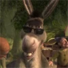 CIUCHINO/DONKEY/SHREK 6