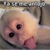 Changos 2 19