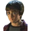 Harry Potter 14