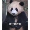 panda3 7