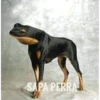 min stickers 20