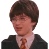 Harry Potter 16