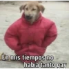 Caninos 20
