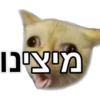 מיצינו